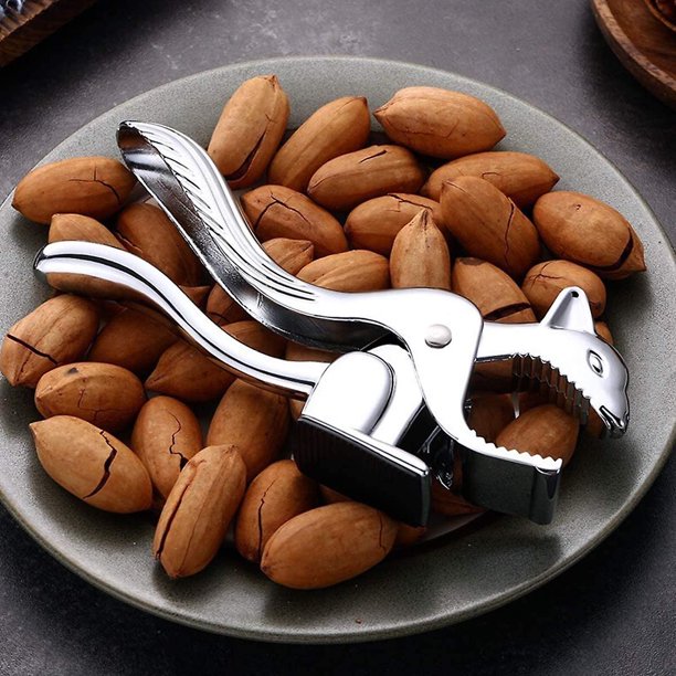 Squirrel  Almond Nutcracker
